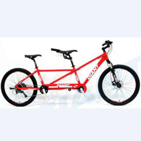2014 TANDEM双人车