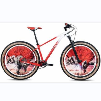 2023 XTC奥特曼